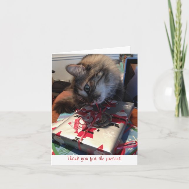 Cartão De Agradecimento gatinho, obrigado. (Frente)