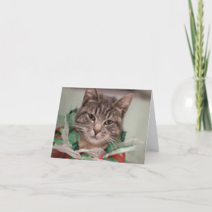 Cartão De Agradecimento Gato de Natal FAMD