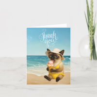 Gato está na praia