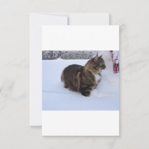 Cartão De Agradecimento gato floresta norueguesa na neve