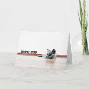 Cartão De Agradecimento Gato Gato Gato Gato Gato Gato Super Bonito "Obriga