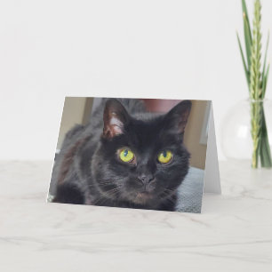 Cartão De Agradecimento Gato negro