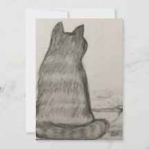 Gato Nos Observando