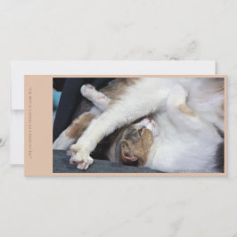 Cartão De Agradecimento Gato Yoga/Cara Doce