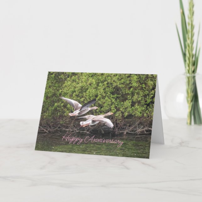 Cartão De Agradecimento Geese Anniversário (Frente)