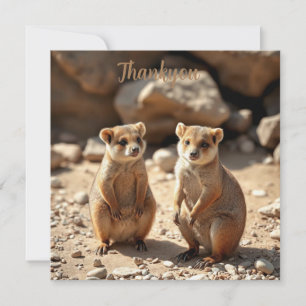 Cartão De Agradecimento Gêmeos Quokka australianos,