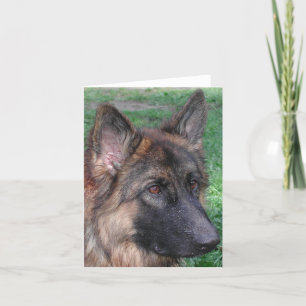 Cartão De Agradecimento german shepherd
