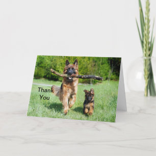 Cartão De Agradecimento German shepherd