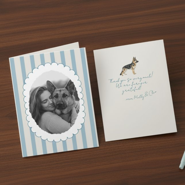 Cartão De Agradecimento German shepherd de Fotografias com Striped Azul Pe (Send many thanks with a personalized touch! )