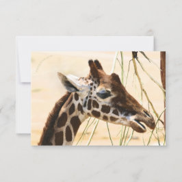 Cartão De Agradecimento Girafas longe e perto