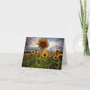 Cartão De Agradecimento Girassol Amarelo Flor Olá, Amor, Sinto Saudades