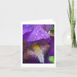Cartão De Agradecimento Gladiolus na chuva