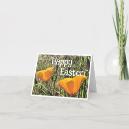 Cartão De Agradecimento Golden Poppies Easter Card 1