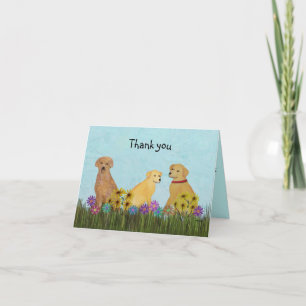 Cartão De Agradecimento Golden Retrievers Thank You Cards