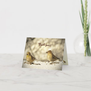 Cartão De Agradecimento Goldfinch e Pine Siskin Obrigado