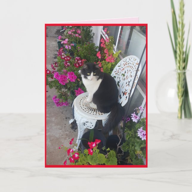 Cartão De Agradecimento Gota de Gato Tuxedo com Flores Bonito (Frente)