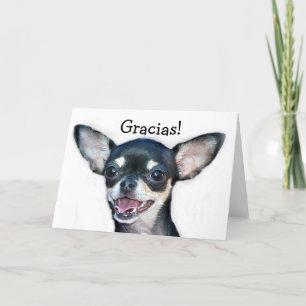 Cartão De Agradecimento Gracias Chihuahua greeting card