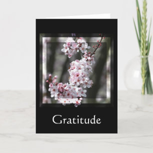 Cartão De Agradecimento Gratitude Cherry Blossom Floral