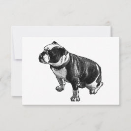 Cartão De Agradecimento Gratitude Without Noise