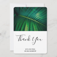 Green Leaf Palm Frond Closeup Foto Muito Obrigado