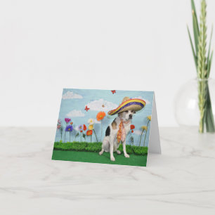 Cartão De Agradecimento Greeting card, photo of dog in sombrero