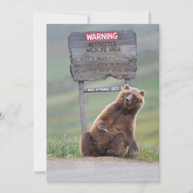 Cartão De Agradecimento Grizzly Bear Plays With Sign (Frente)