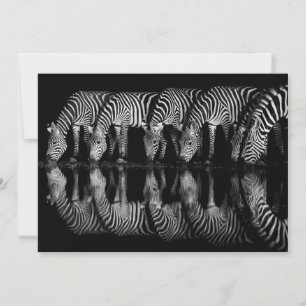 Cartão De Agradecimento Grupo de Zebras da Planície Bebem Juntas à Noite