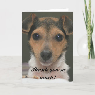 Cartão De Agradecimento Hamlin - Muito obrigado!