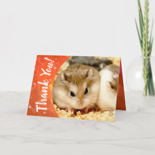 Cartão De Agradecimento Hammyville - Hamster Bonito Obrigado