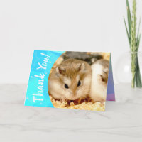 Hammyville - obrigado bonito do hamster você