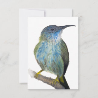 Cartão De Agradecimento Hand-drawn blue tinted hummingbird notecard.
