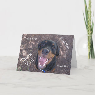 Cartão De Agradecimento Happy Heidi Rottweiler Thank You Greeting Card