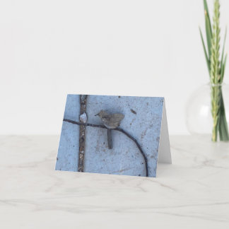 Cartão De Agradecimento Have A Very Happy Birthday 🎊🎂🎈 