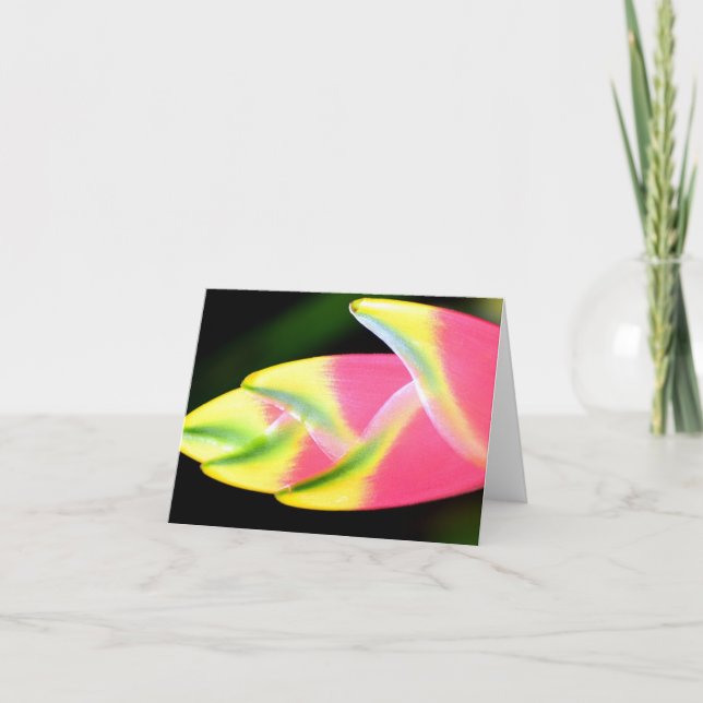 Cartão De Agradecimento Heliconia Vietnamita - Todas as Ocasiões - Notecar (Frente)