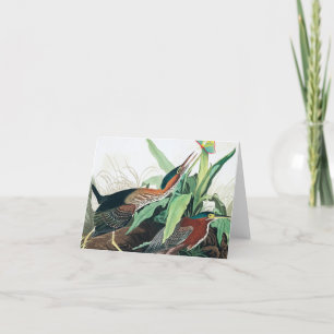 Cartão De Agradecimento Herão Verde por John James Audubon