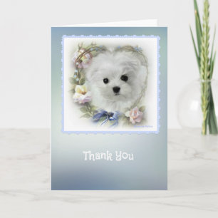 Cartão De Agradecimento Hermes the Maltese Thank You Card