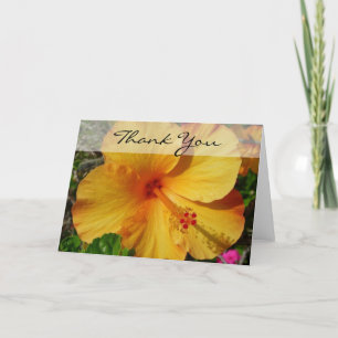 Cartão De Agradecimento Hibiscus - Thank You