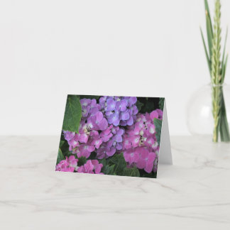 Cartão De Agradecimento Hidrangea rosa
