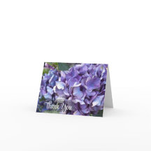 Hortênsia Flor Roxa