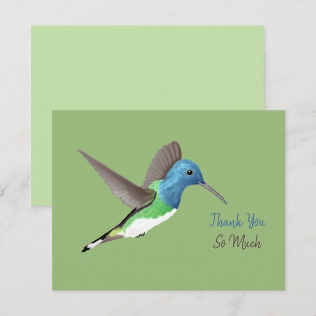 Cartão De Agradecimento Hovering Jacobin Hummingbird - transparente. (Frente/Verso)