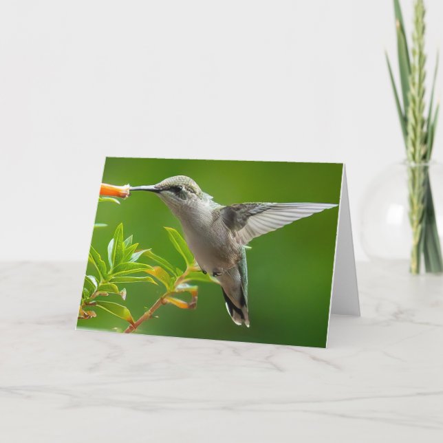 Cartão De Agradecimento Hummingbird Notecard (Frente)