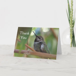 Cartão De Agradecimento Hummingbird thank you card