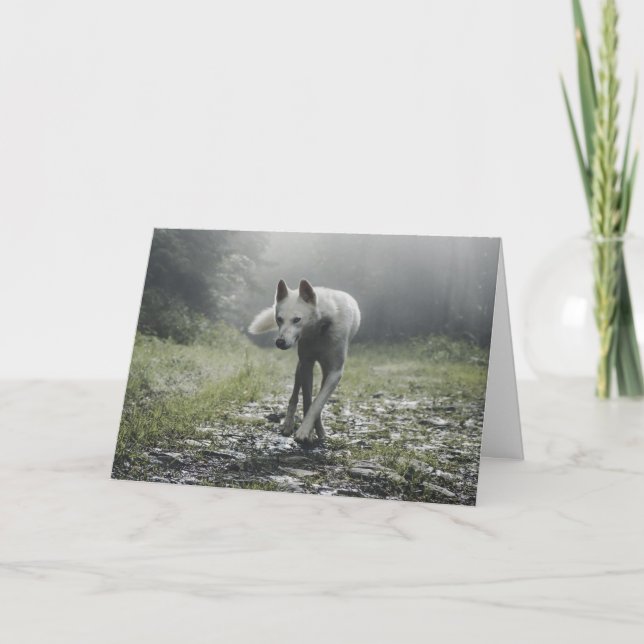 Cartão De Agradecimento Husky Siberiano Branco (Frente)