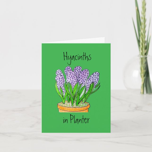 Cartão De Agradecimento Hyacinths in Planter Blank Greeting Card (Frente)
