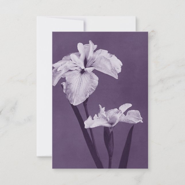 Cartão De Agradecimento Iris Fine Art (Frente)