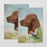 Irish Setter