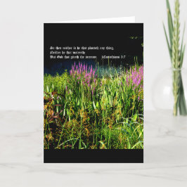 Cartão De Agradecimento Jardim de porco com 1 corintiano 3:7