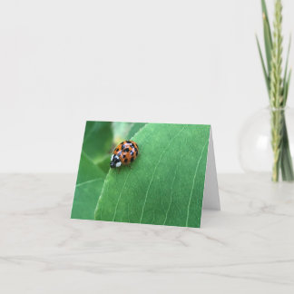 Cartão De Agradecimento Joaninha da Primavera em Folha Verde