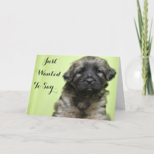 Cartão De Agradecimento Just Wanted To Say Thank you Puppy Card
