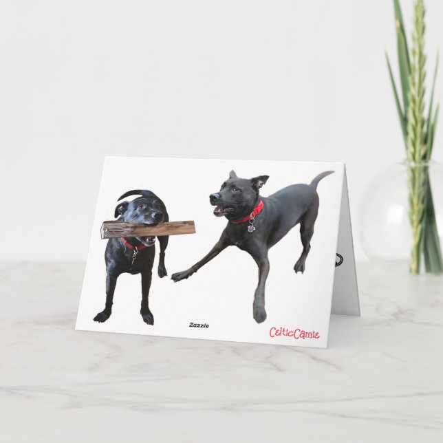Cartão De Agradecimento Keep Stickin' Around (Verso)